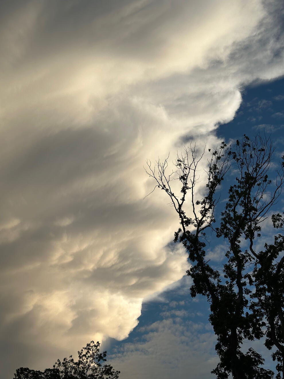 NC, US. Shot on iPhone 14 Pro.