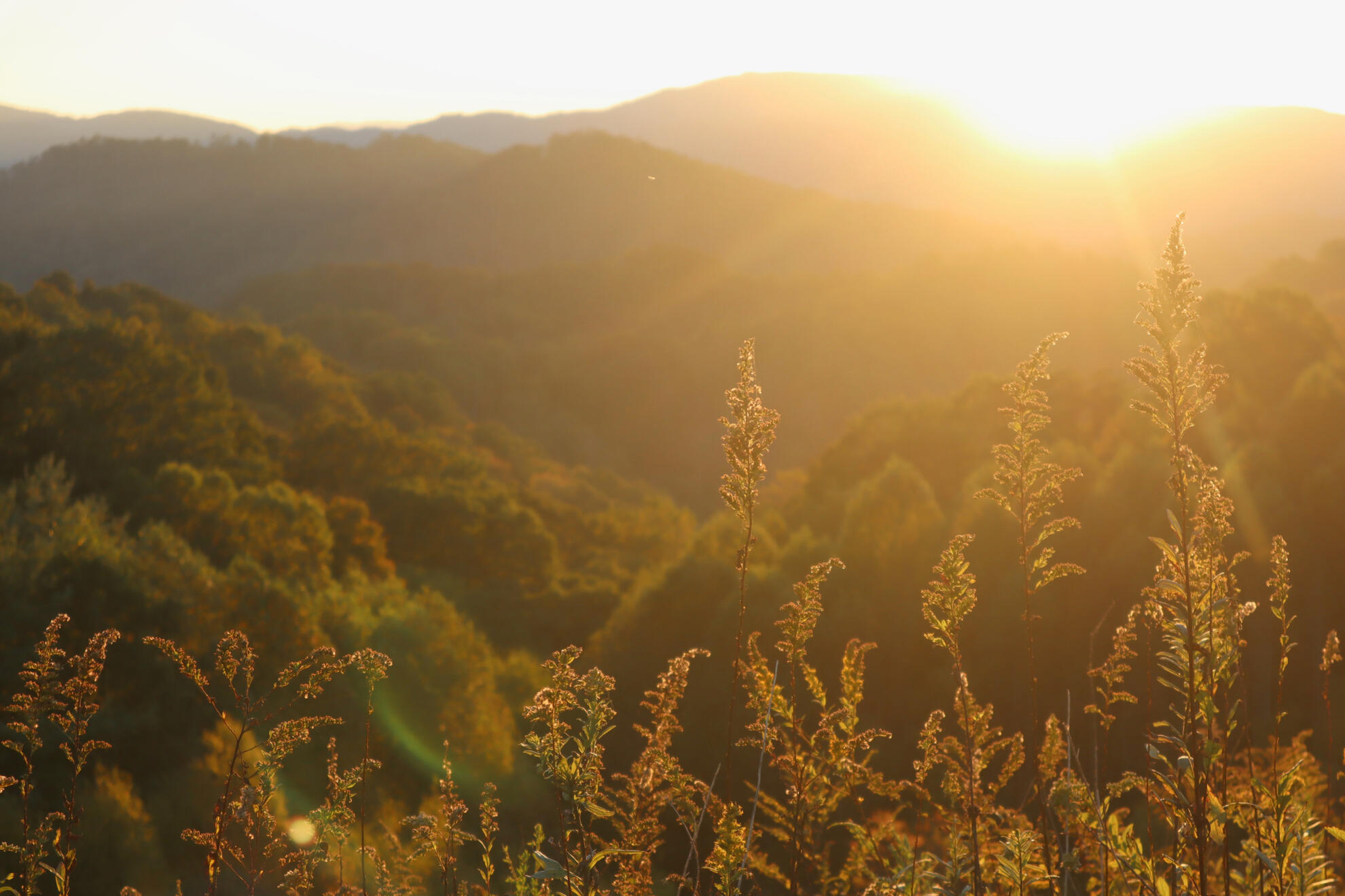 Boone, NC, US. Shot on Canon EOS M50 Mark I.