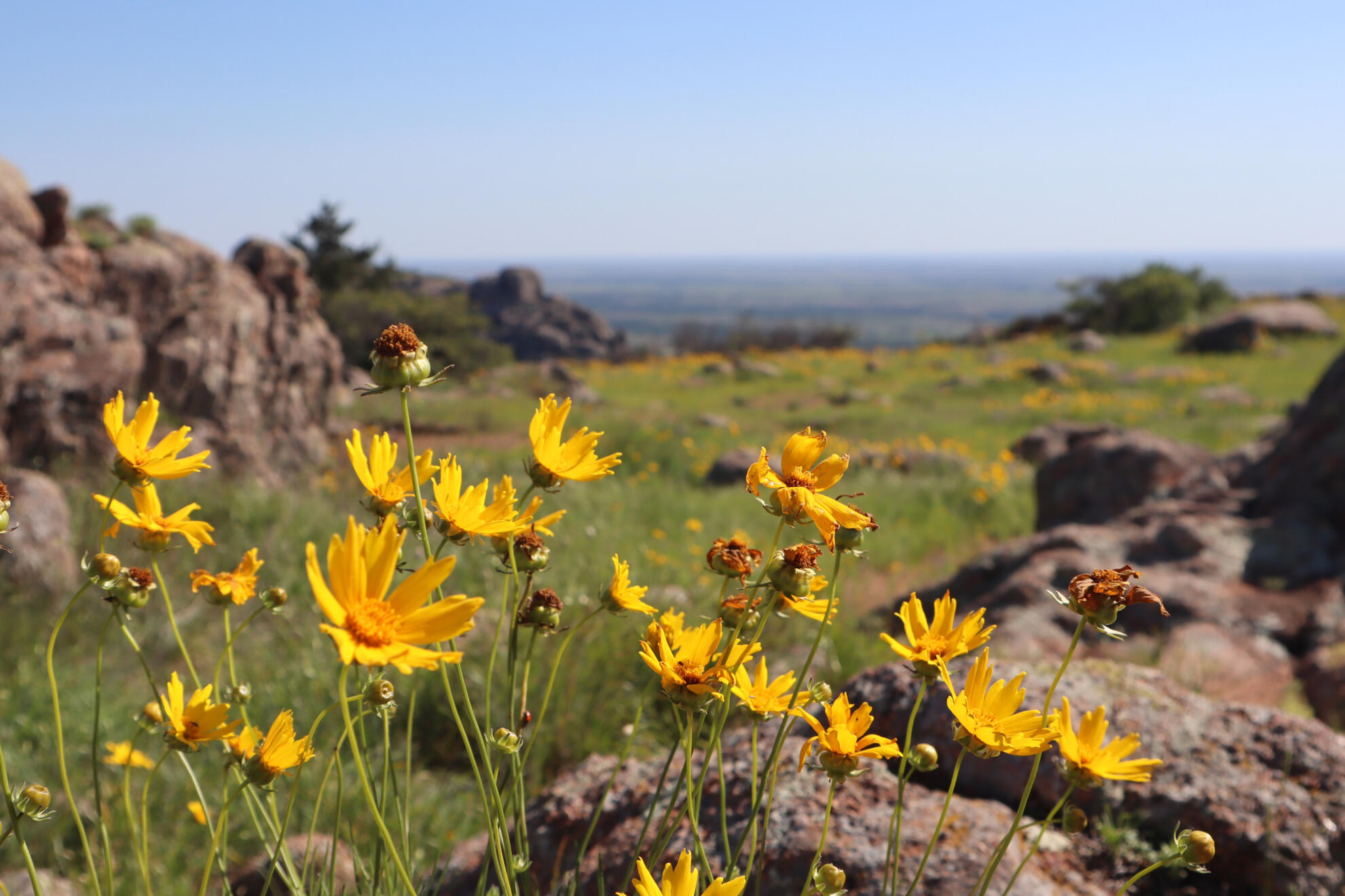 Wichita Mountains National Wildlife Refuge, Oklahoma, US. Shot on Canon EOS M50 Mark I.