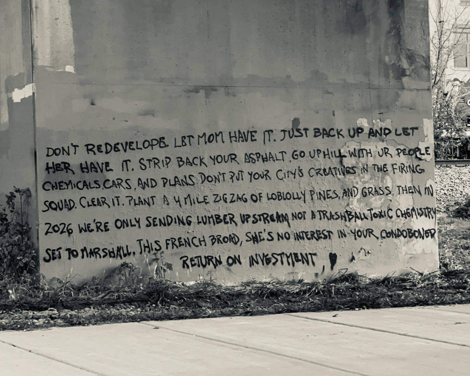 Asheville, NC, US. Shot on iPhone 14 Pro.