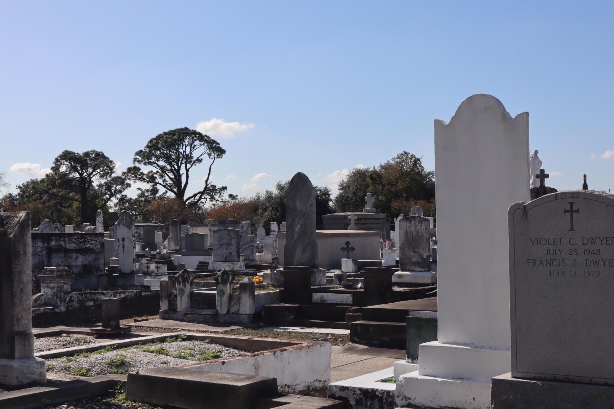 New Orleans, LA, US. Shot on iPhone 16 Pro.