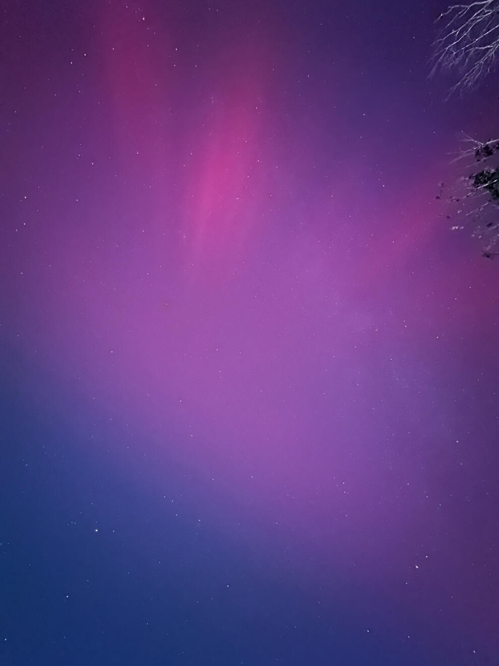 NC, US. Shot on iPhone 14 Pro.