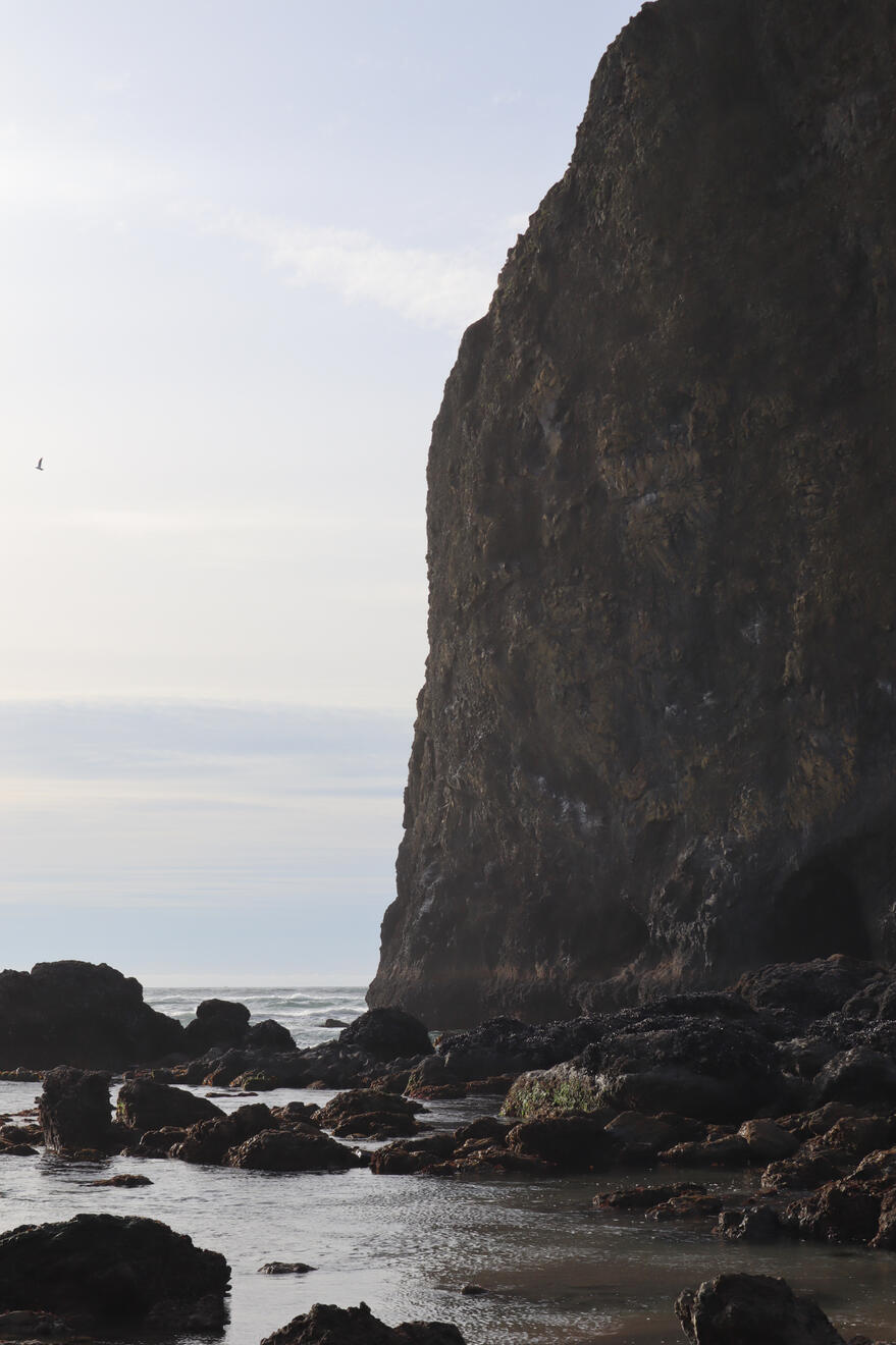 Cannon Beach, Oregon, US. Shot on Canon EOS M50 Mark I.