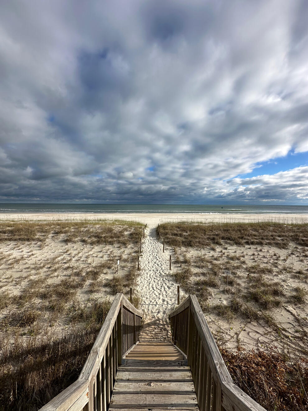 NC, US. Shot on iPhone 14 Pro.