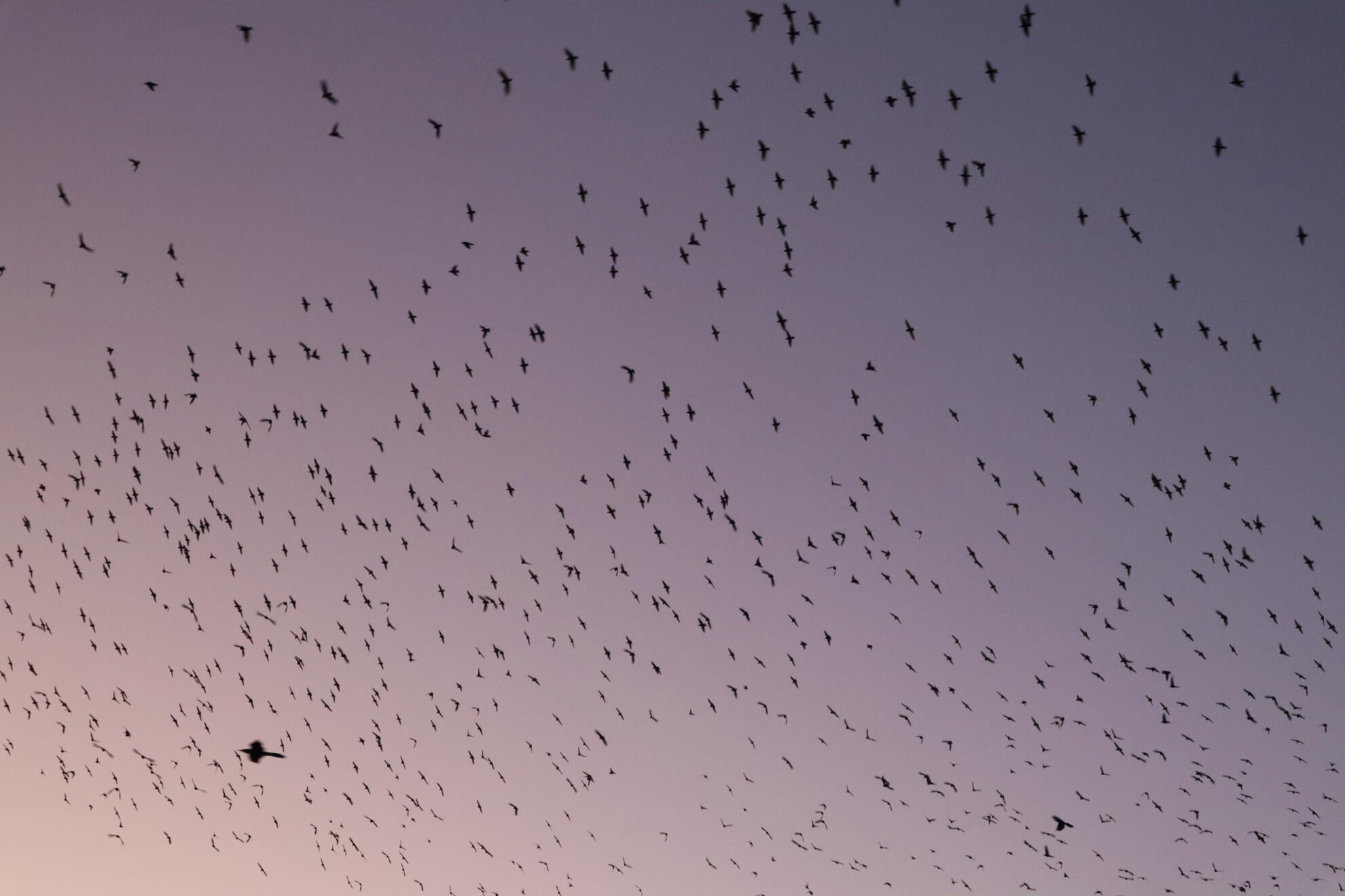 San Antonio, Texas, US. Shot on Canon EOS M50 Mark I.