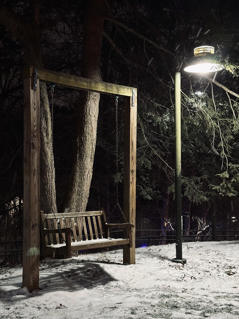 Asheville, NC, US. Shot on iPhone 14 Pro.