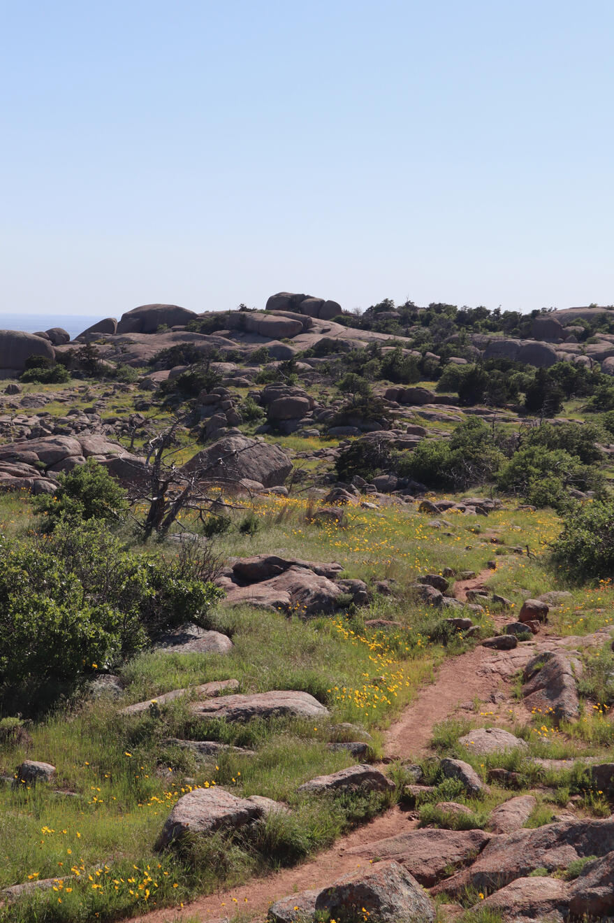 Wichita Mountains National Wildlife Refuge, Oklahoma, US. Shot on Canon EOS M50 Mark I.