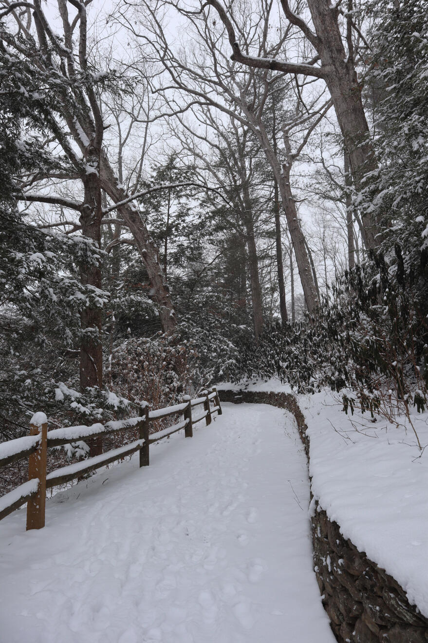 Asheville, NC, US. Shot on Canon EOS M50 Mark I.