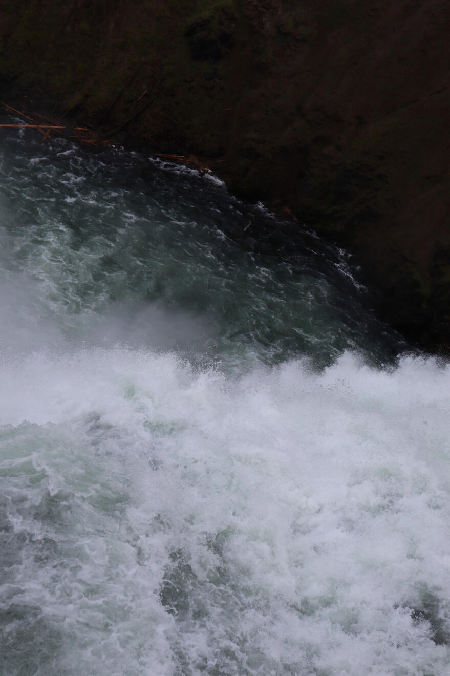 Yellowstone National Park, Wyoming, US. Shot on Canon EOS M50 Mark I.