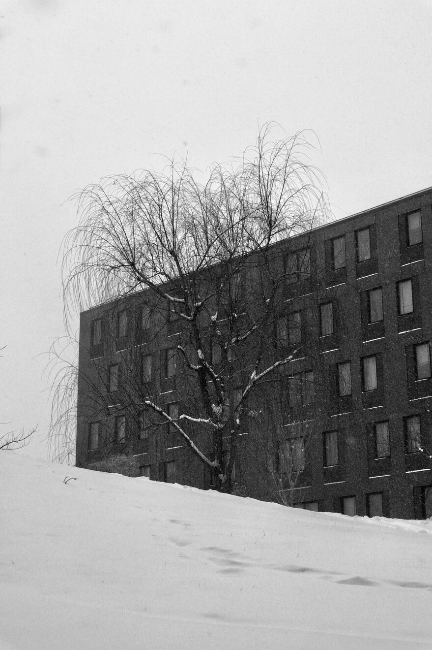 Asheville, NC, US. Shot on Canon EOS M50 Mark I.