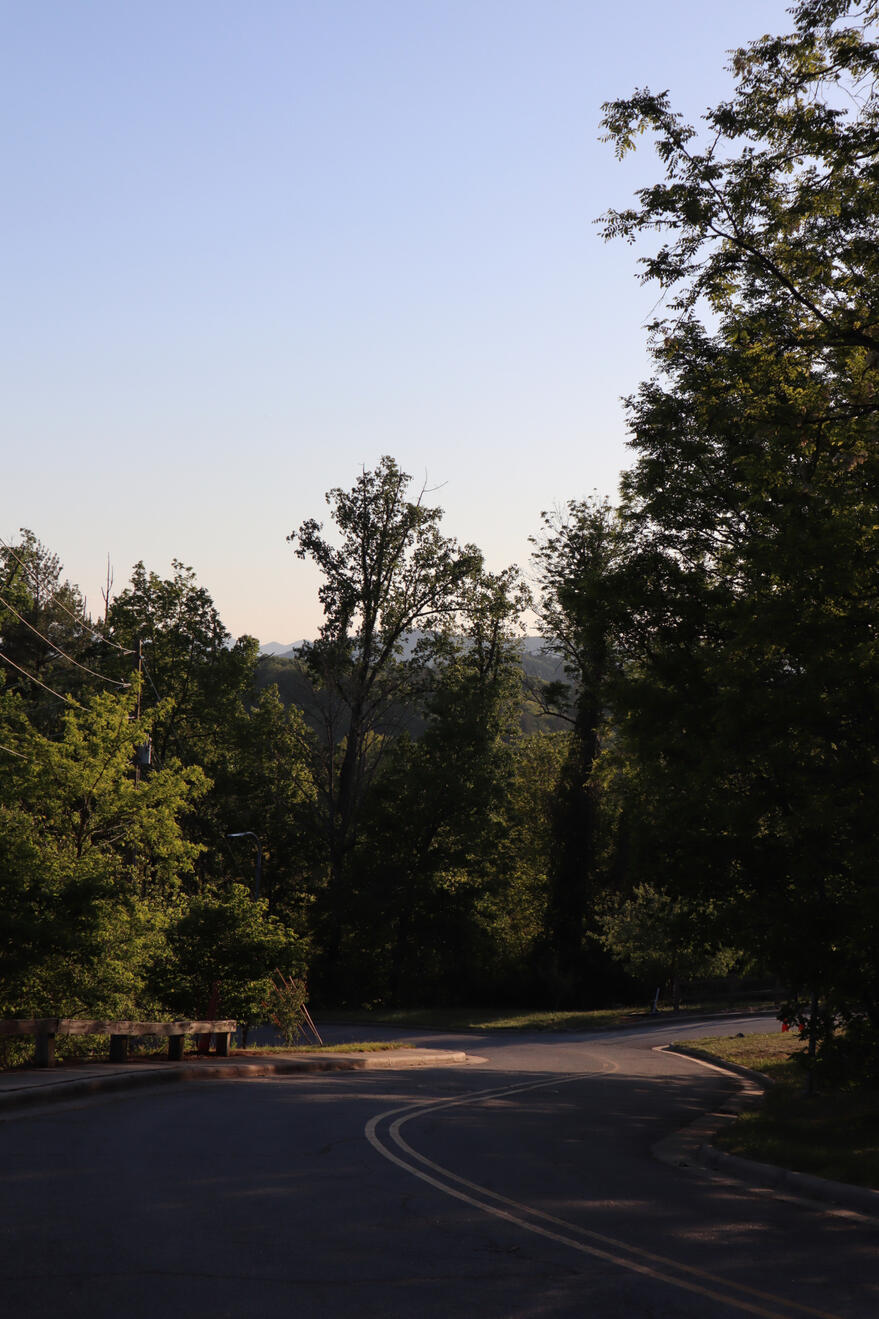 Asheville, NC, US. Shot on Canon EOS M50 Mark I.