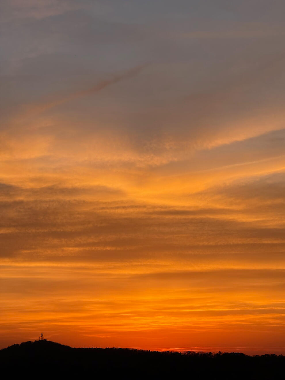 NC, US. Shot on iPhone 16 Pro.