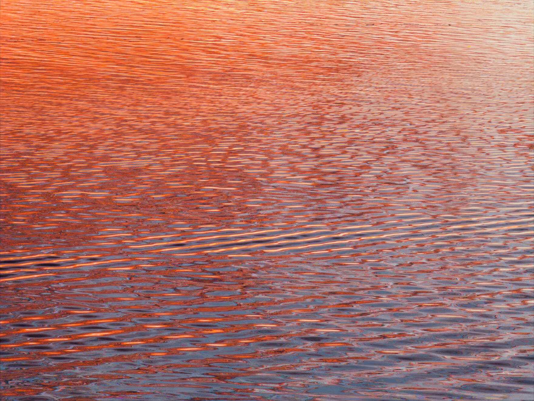 New Port Richey, Florida, US. Shot on iPhone 16 Pro (using Project Indigo).