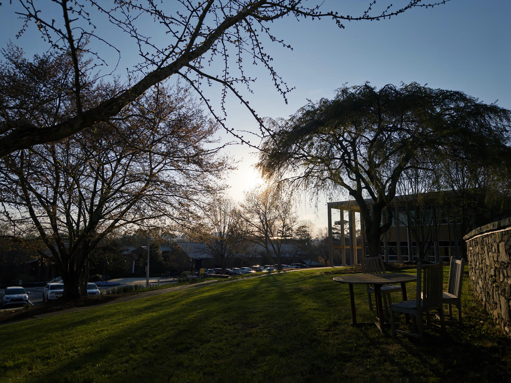 Asheville, NC, US. Shot on iPhone 16 Pro (using Project Indigo).