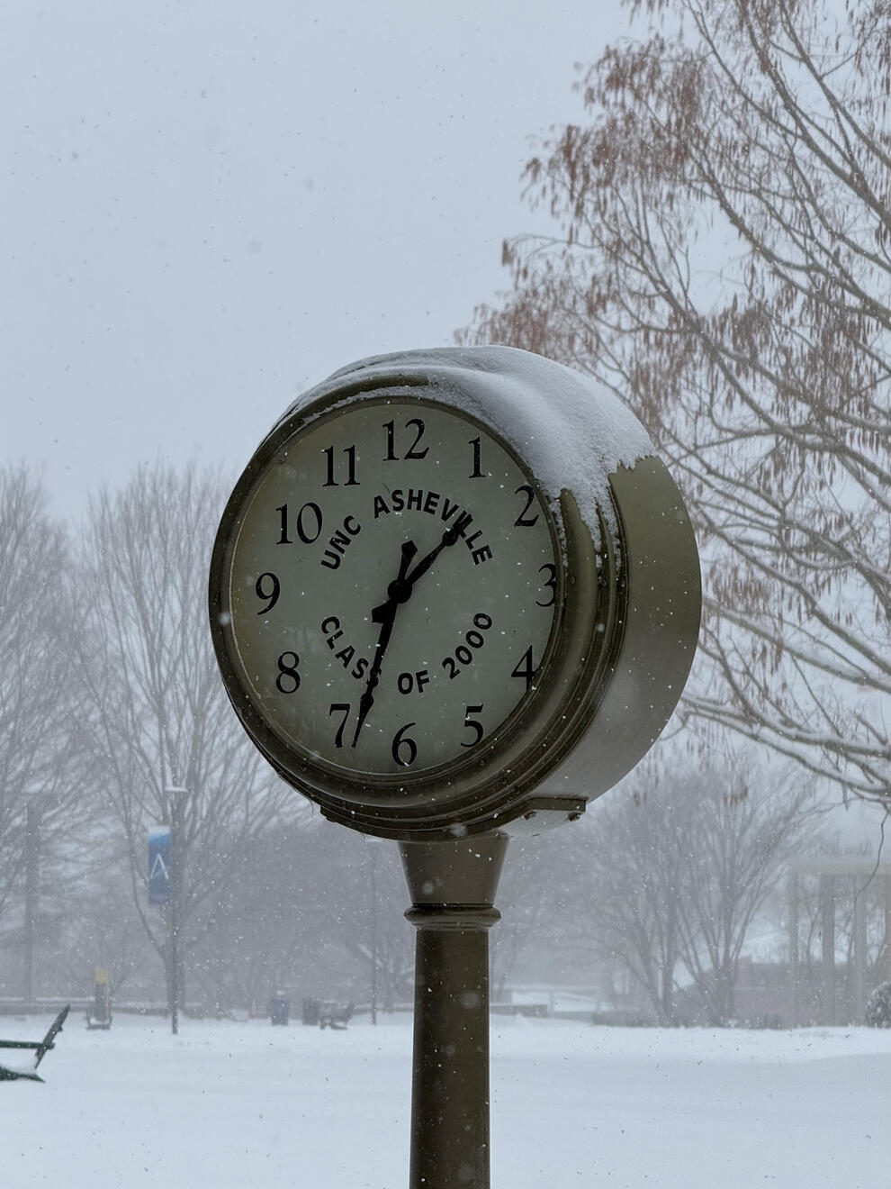 Asheville, NC, US. Shot on iPhone 16 Pro.