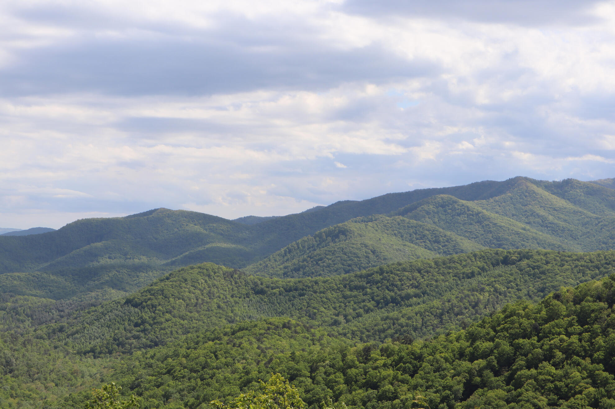 Pisgah National Forest, NC, US. Shot on Canon EOS M50 Mark I.
