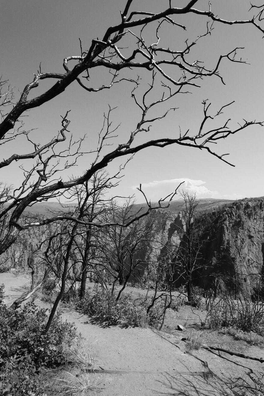 Black Canyon of the Gunnison National Park, Colorado, US. Shot on Canon EOS M50 Mark I.