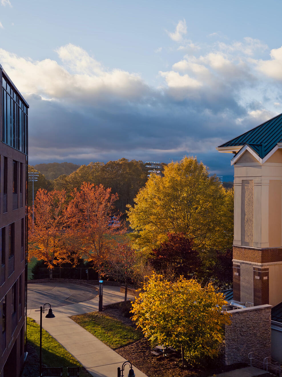 Asheville, NC, US. Shot on iPhone 16 Pro (using Project Indigo).