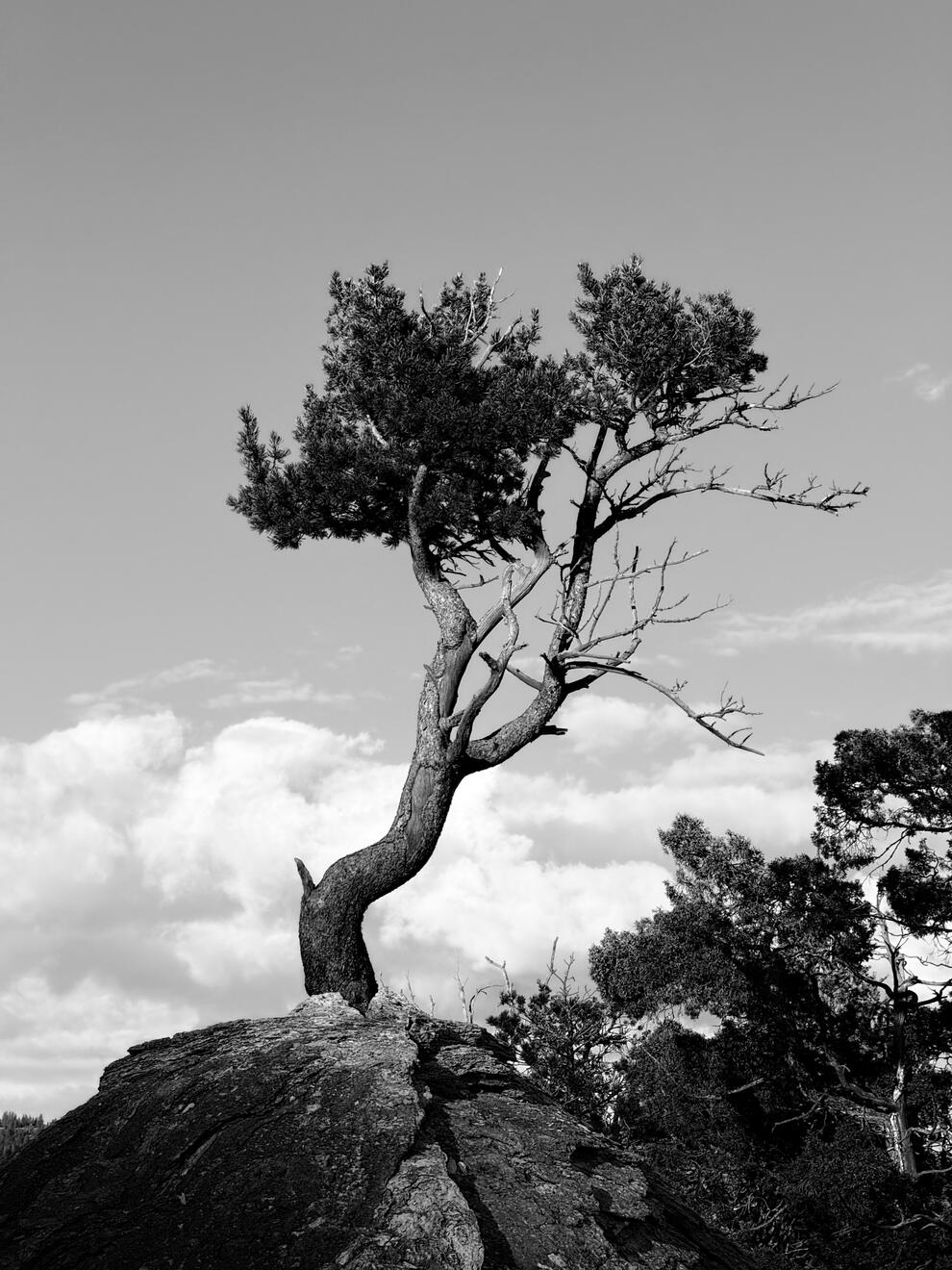 Yellowstone National Park, Wyoming, US. Shot on iPhone 16 Pro.