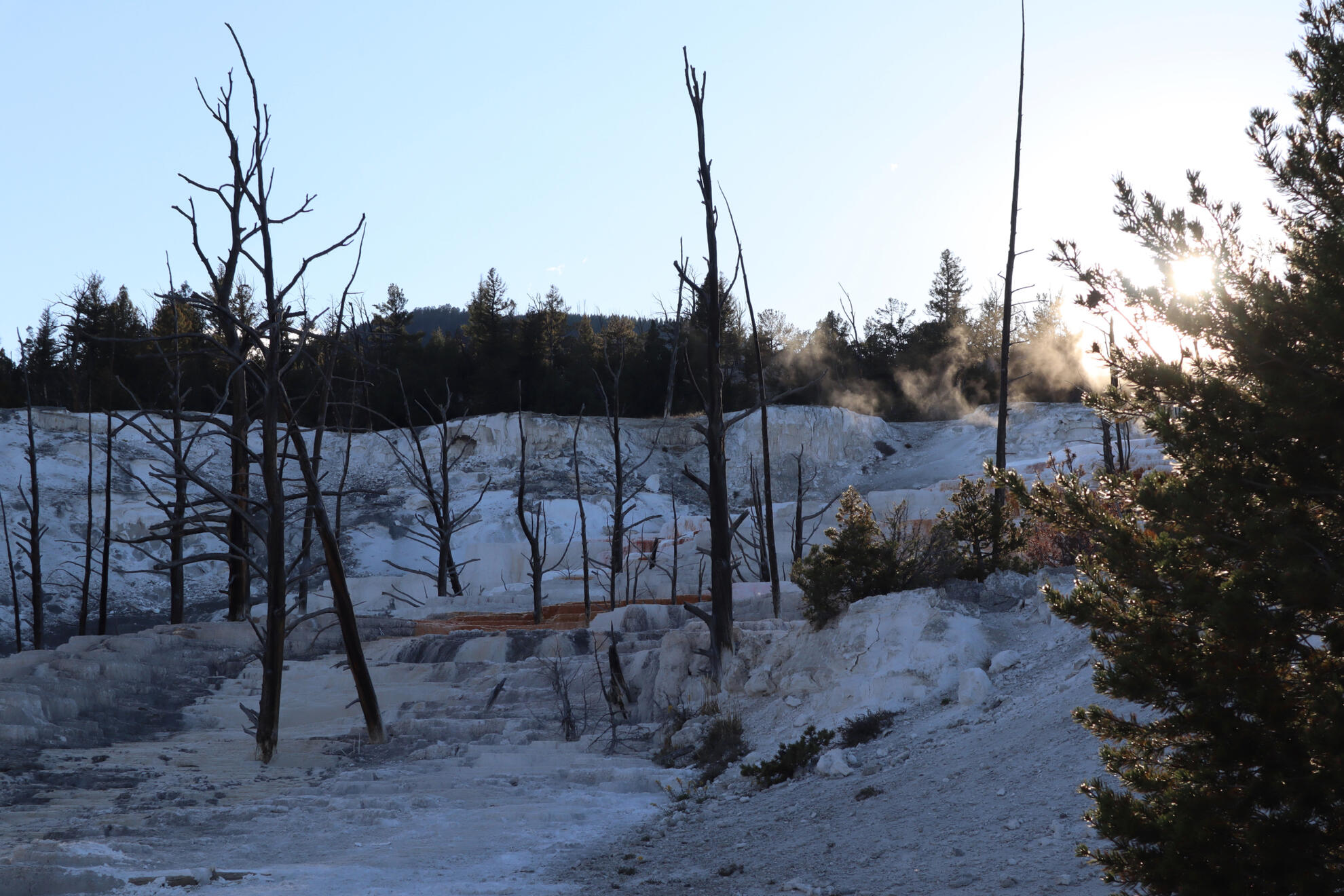 Yellowstone National Park, Wyoming, US. Shot on Canon EOS M50 Mark I.