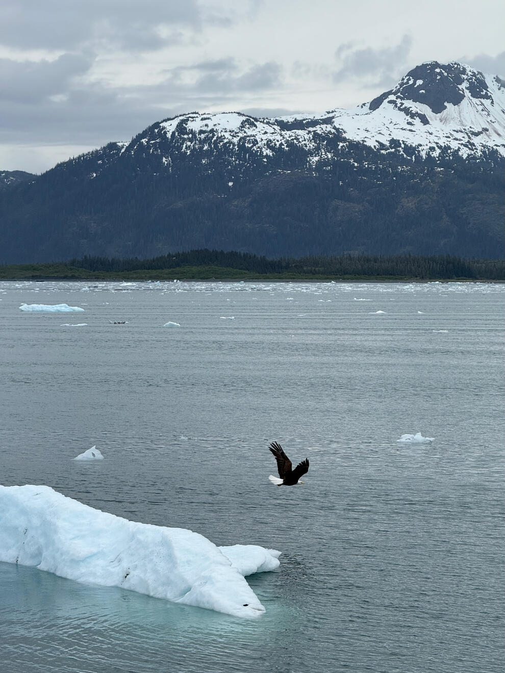 Prince William Sound, Alaska, US. Shot on iPhone 16 Pro.