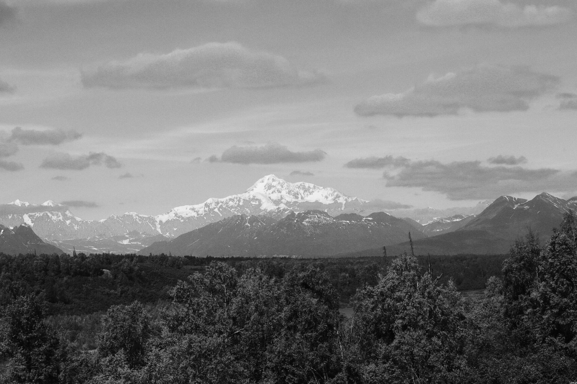 Denali State Park, Alaska, US. Shot on Canon EOS M50 Mark I.