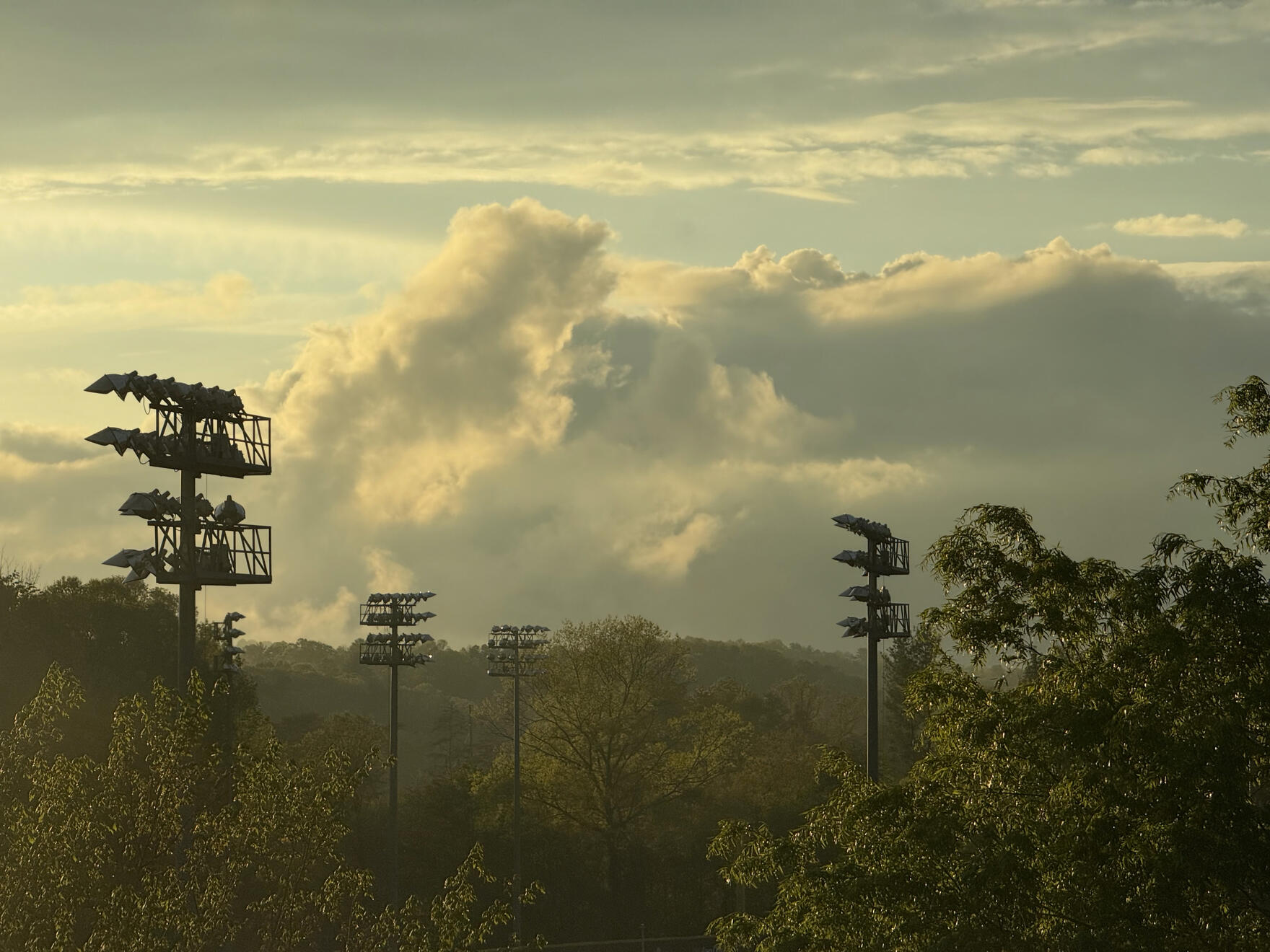 Asheville, NC, US. Shot on iPhone 16 Pro.