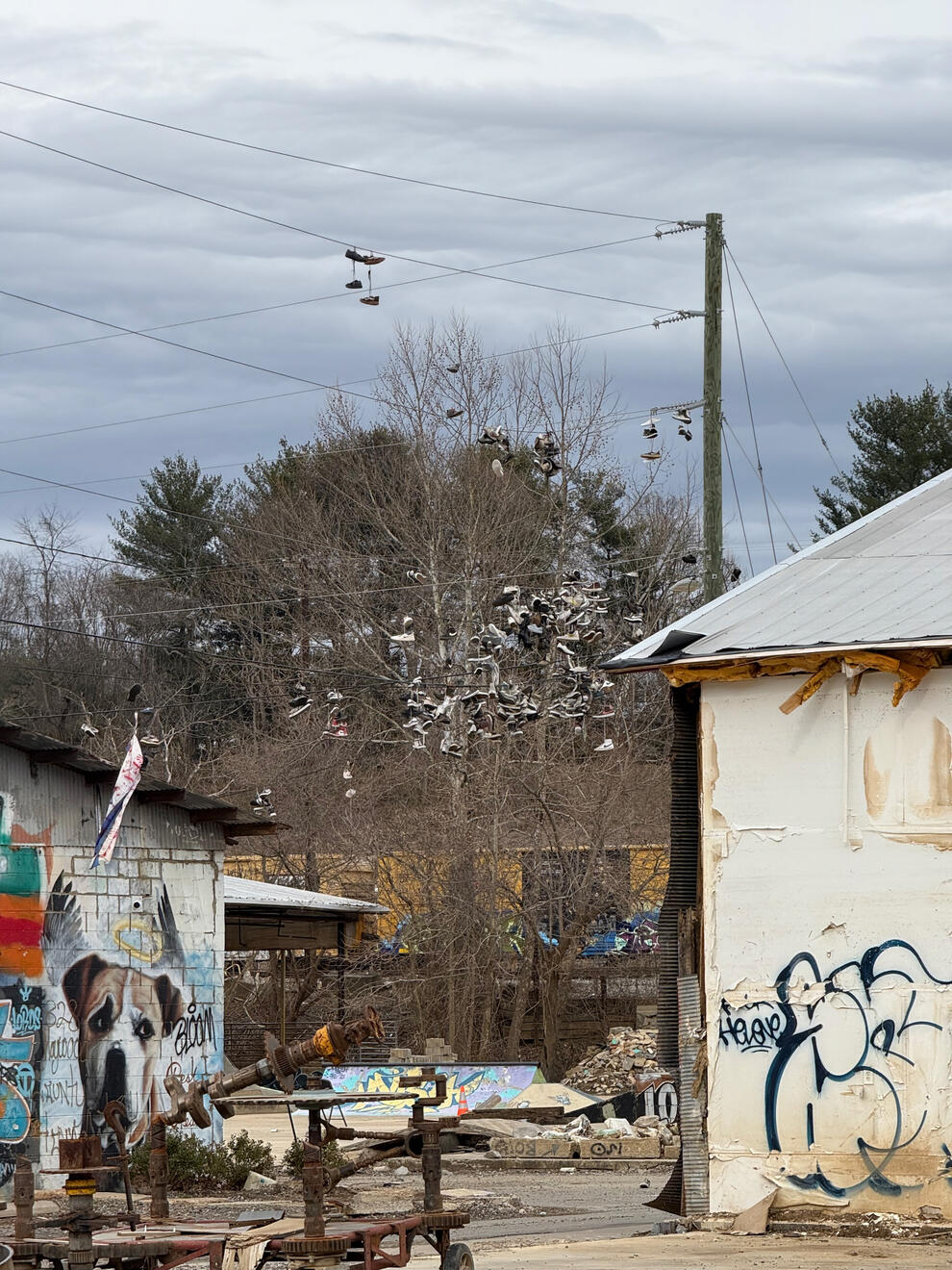 Asheville, NC, US. Shot on iPhone 16 Pro.