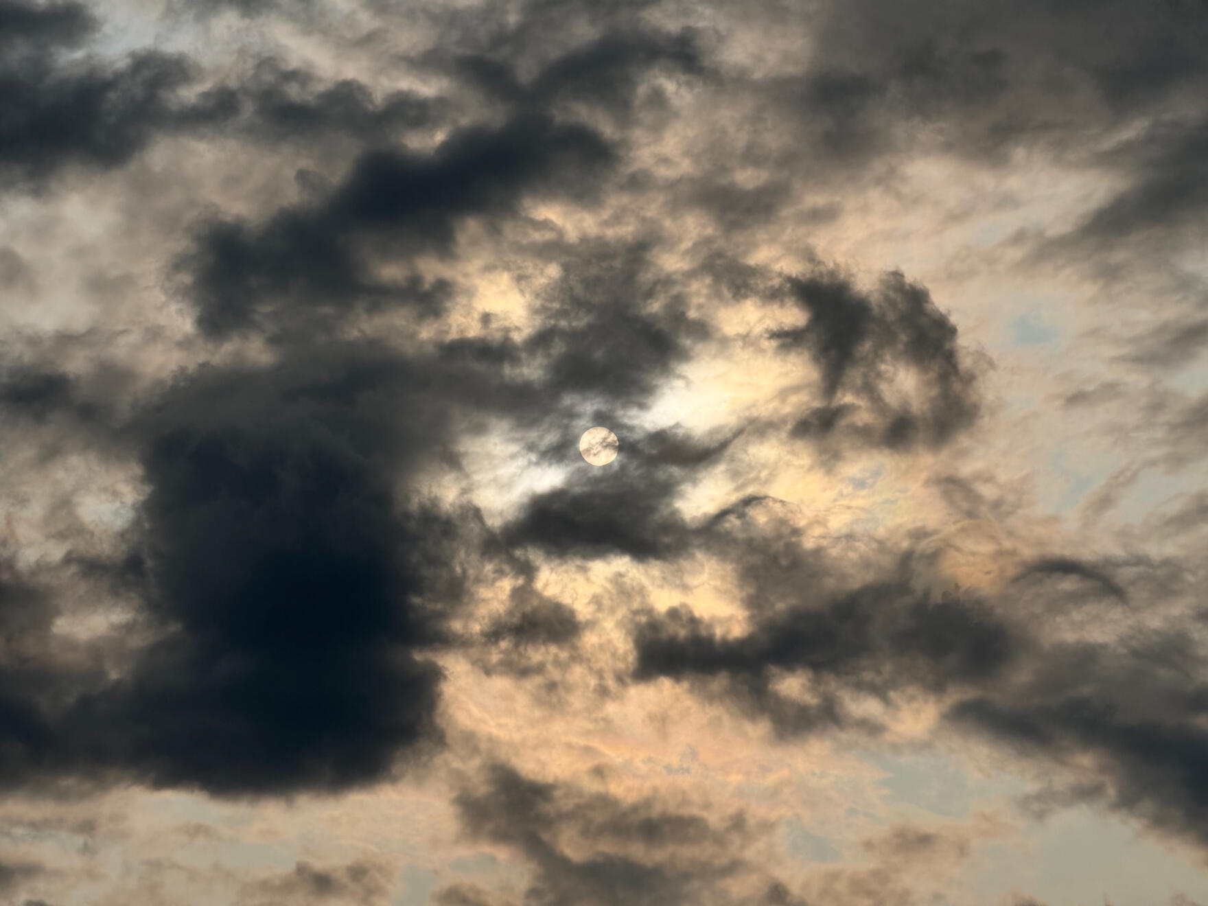 NC, US. Shot on iPhone 16 Pro.