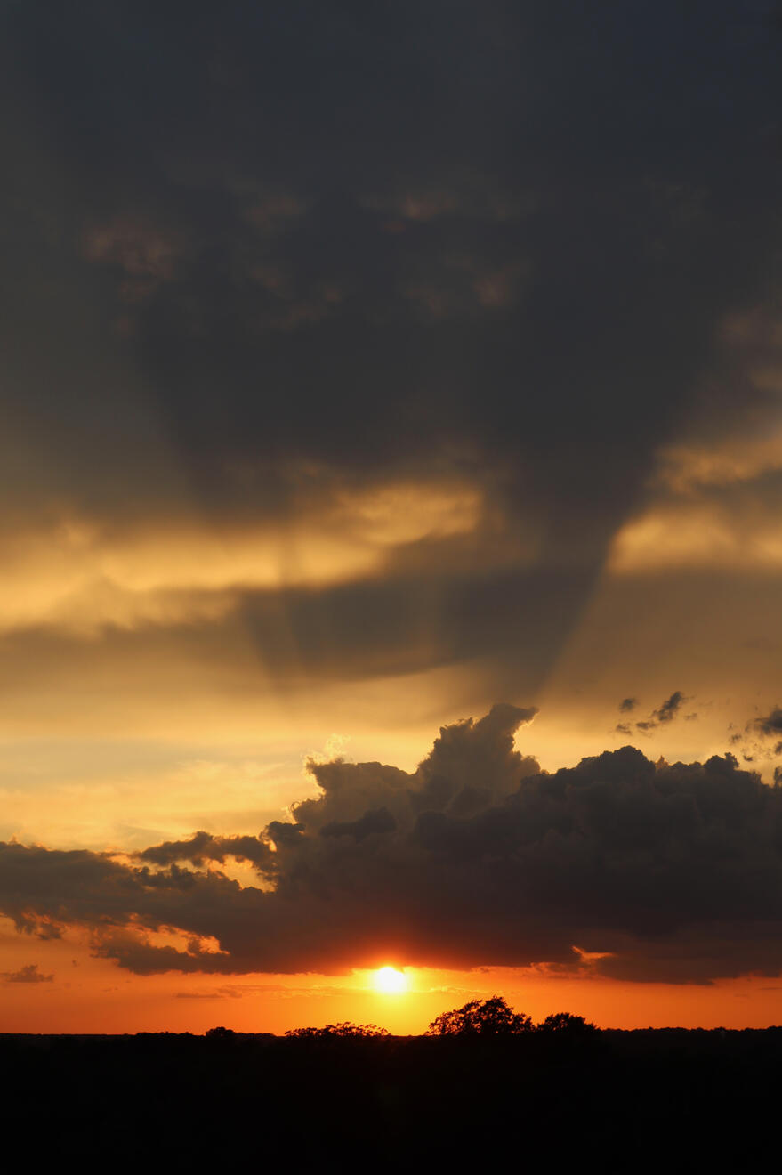 NC, US. Shot on Canon EOS M50 Mark I.