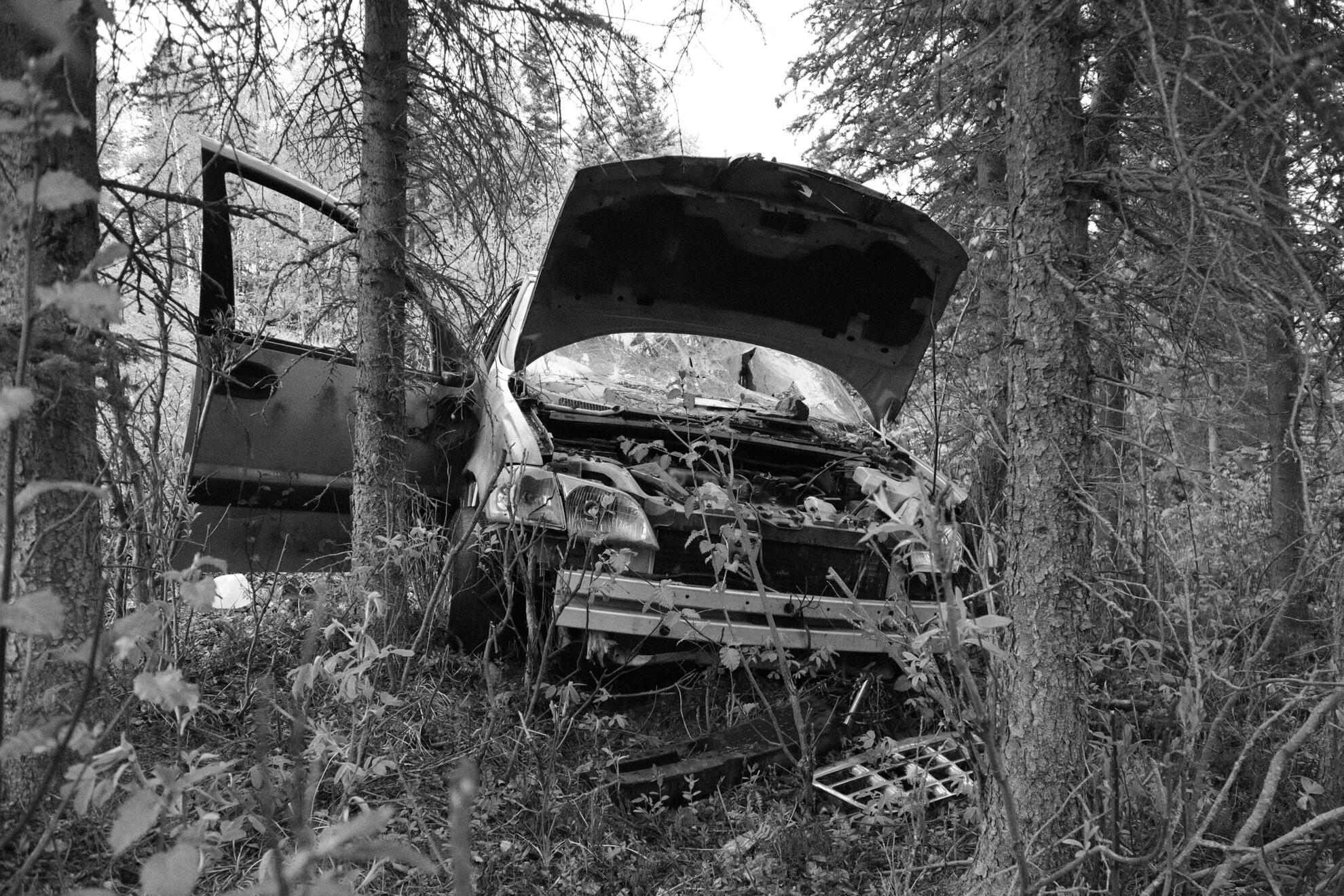 Along the Glenn Highway, Alaska, US. Shot on Canon EOS M50 Mark I.