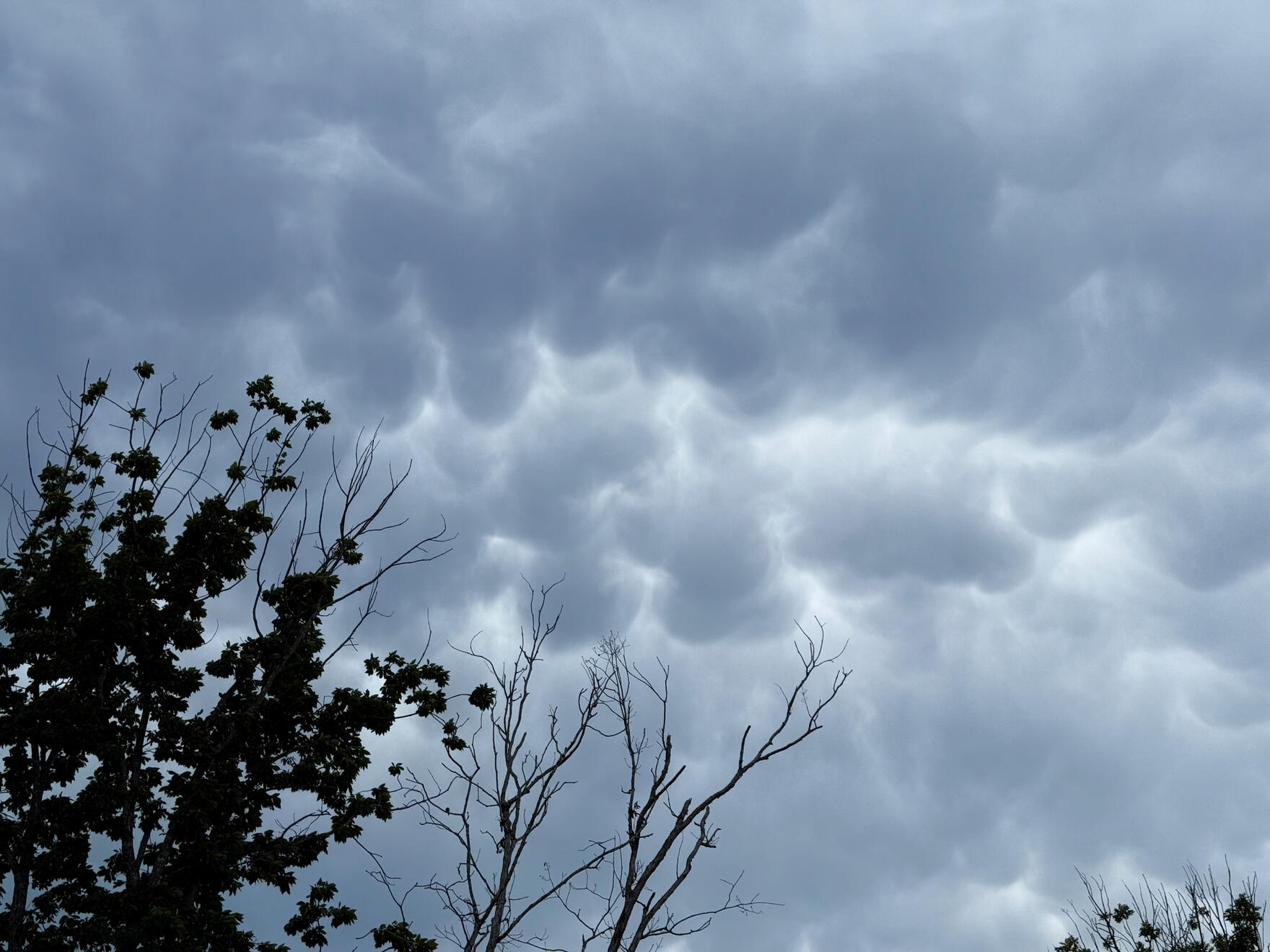 NC, US. Shot on iPhone 16 Pro.