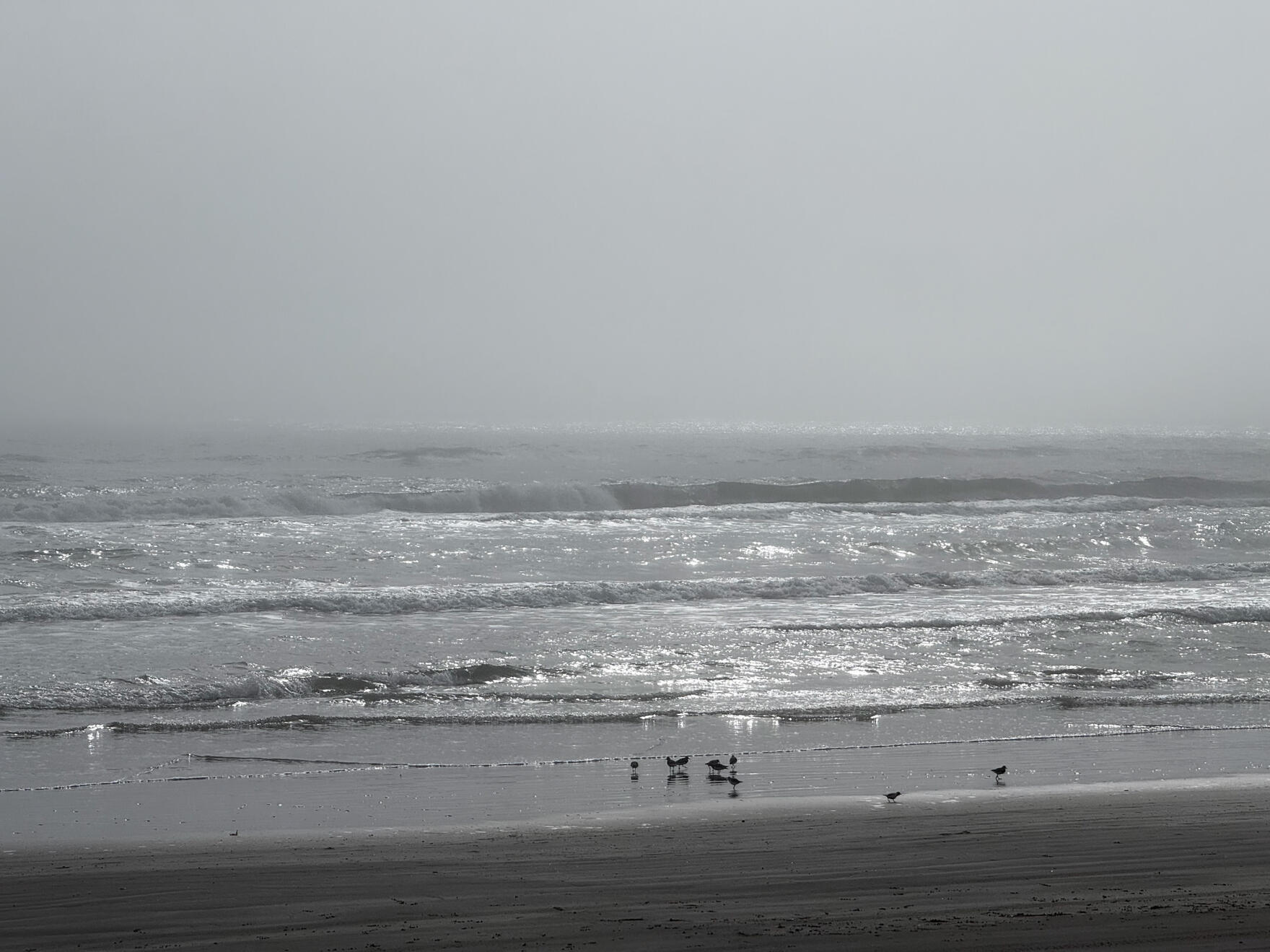 Padre Island National Seashore, Texas, US. Shot on iPhone 16 Pro.