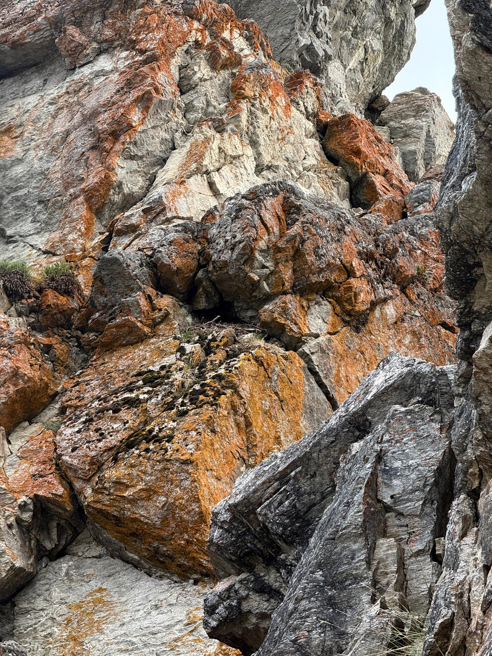 Denali National Park & Preserve, Alaska, US. Shot on iPhone 16 Pro.