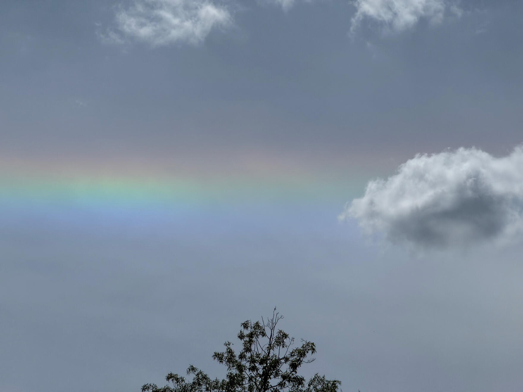 NC, US. Shot on iPhone 16 Pro.