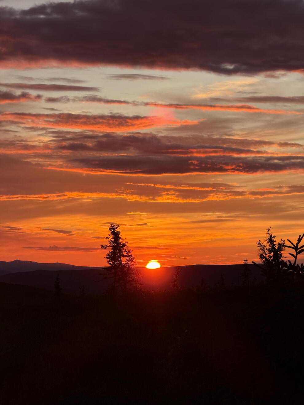 Along the Top of the World Highway, Yukon, Canada. Shot on iPhone 16 Pro.
