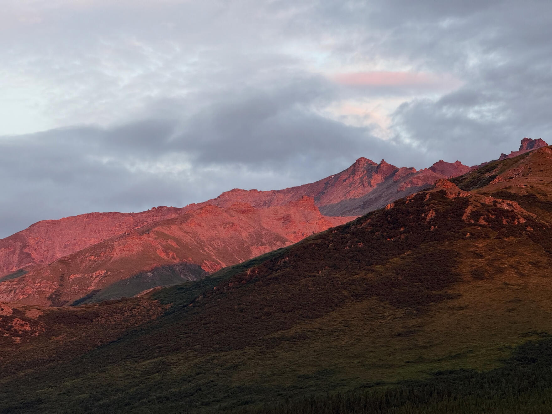 Healy, Alaska, US. Shot on iPhone 16 Pro.