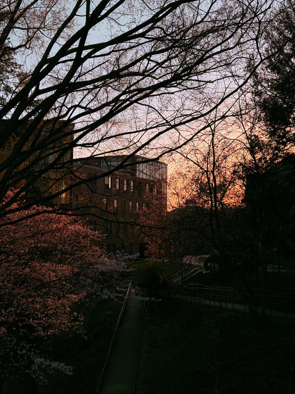 Asheville, NC, US. Shot on iPhone 16 Pro.