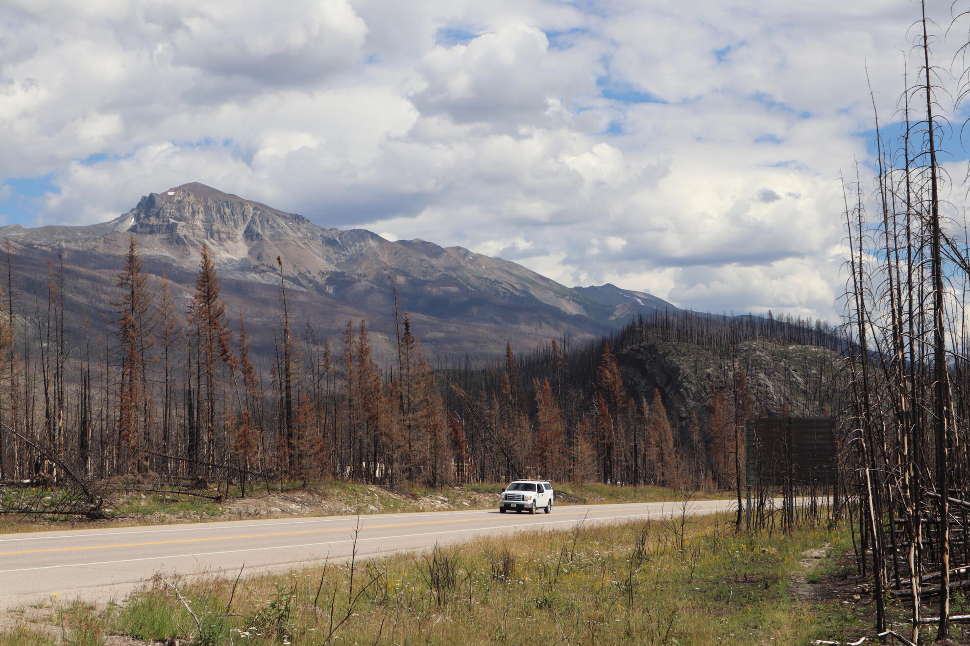 Jasper National Park, Alberta, Canada. Shot on Canon EOS M50 Mark I.