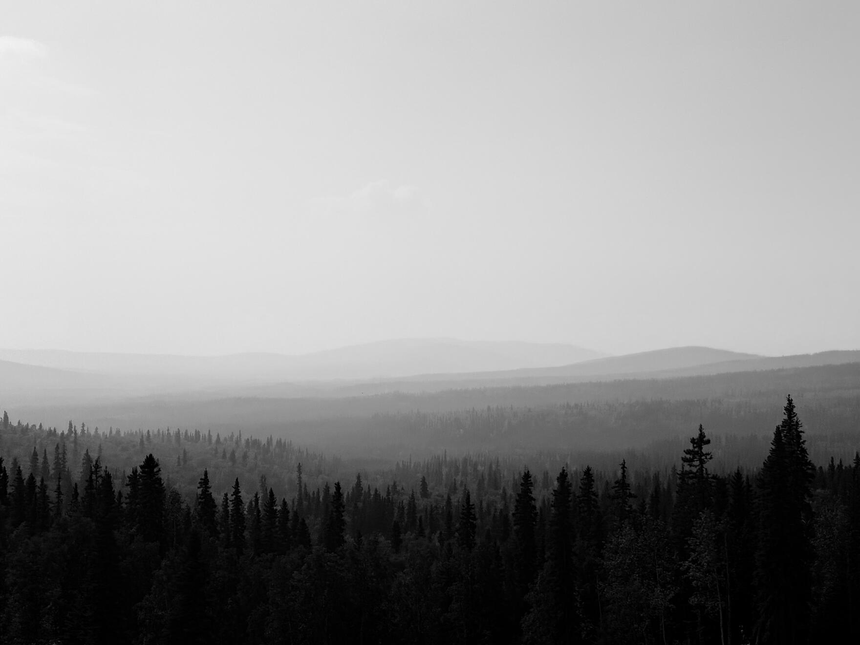 Along the George Parks Highway, Alaska, US. Shot on iPhone 16 Pro.
