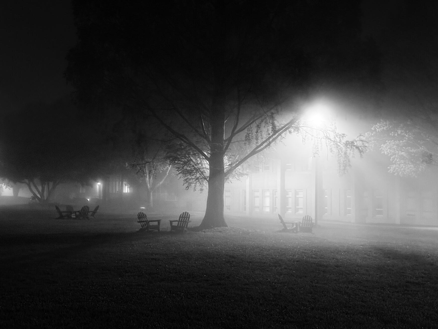 Asheville, NC, US. Shot on iPhone 16 Pro.