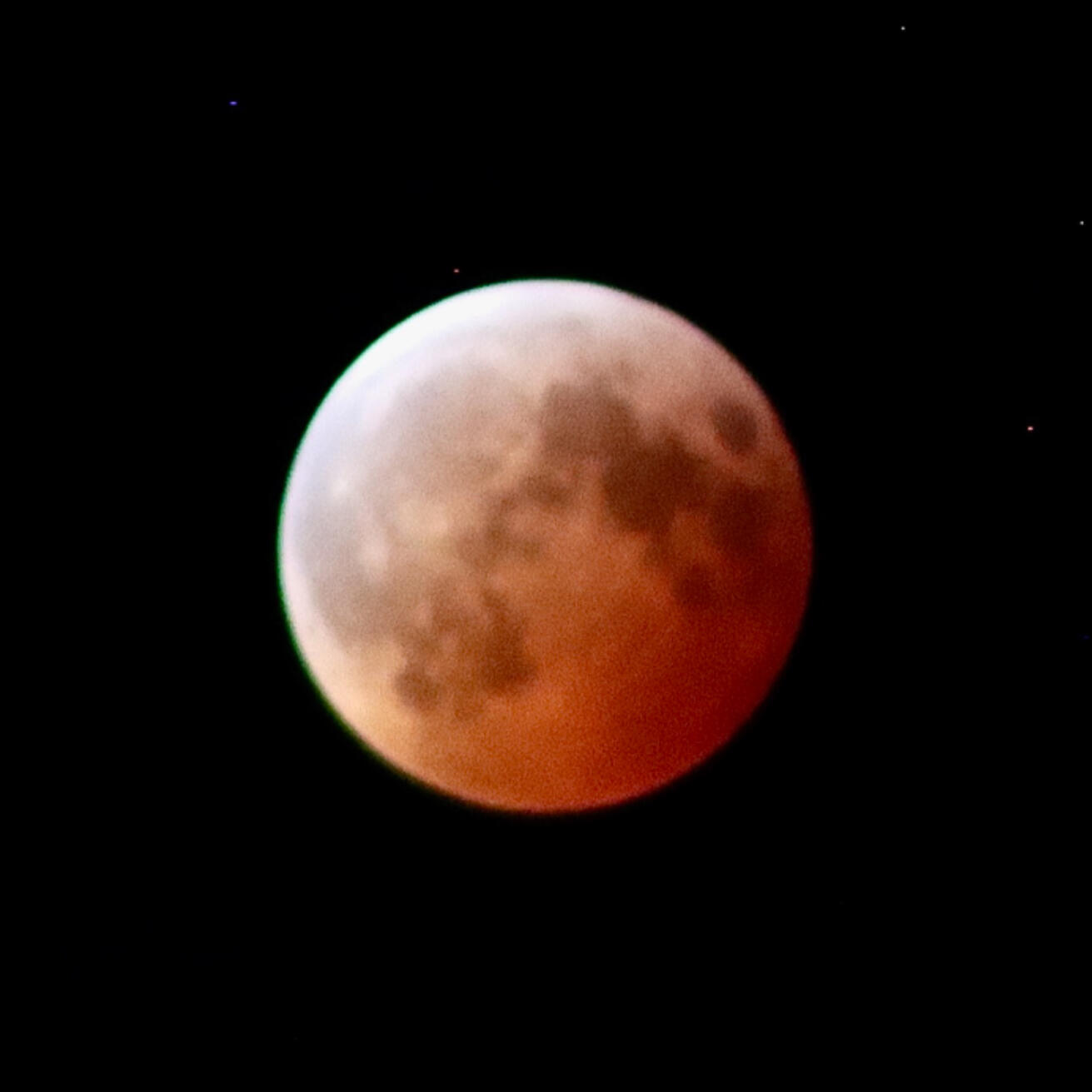 NC, US. Shot on Canon EOS M50 Mark I.