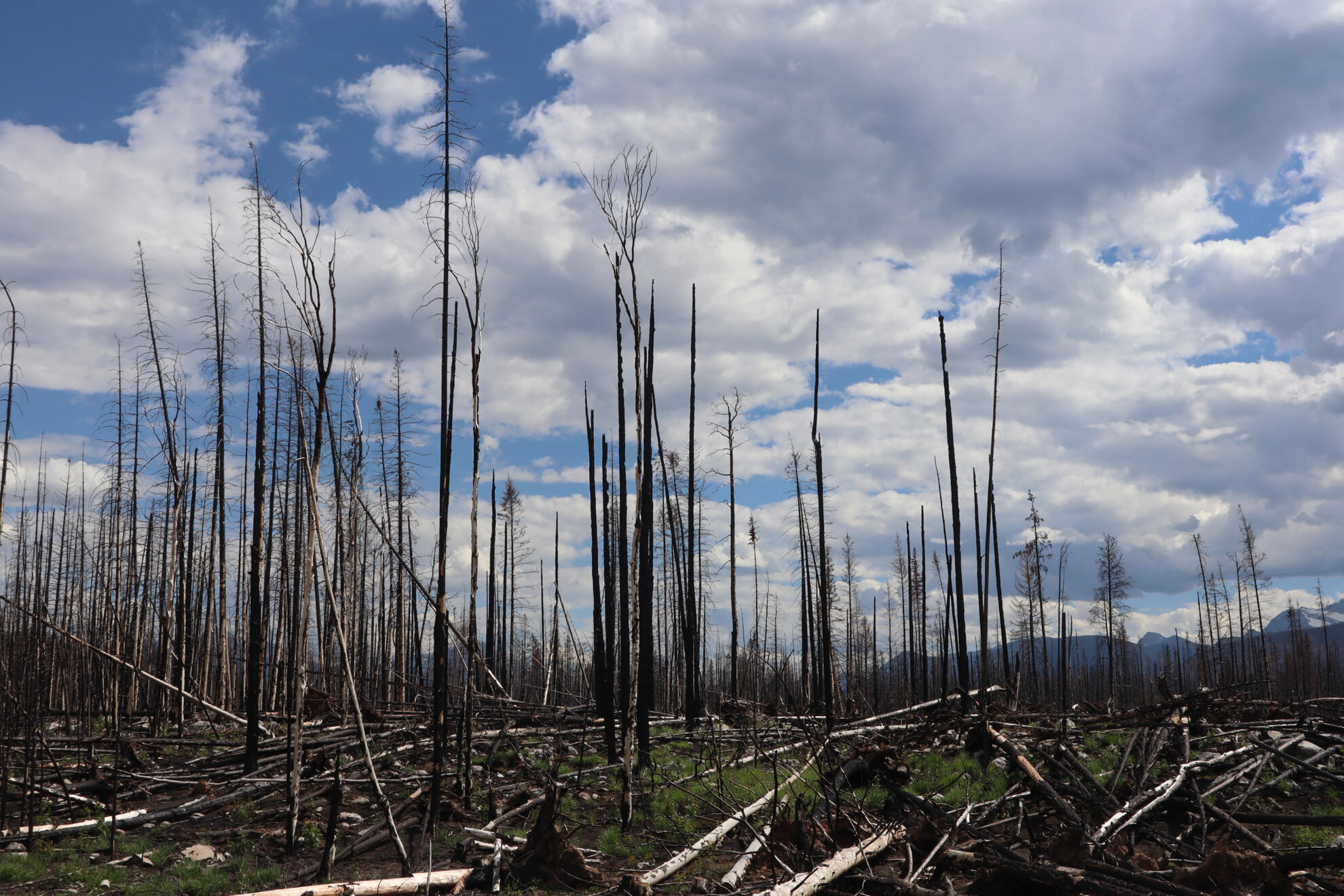 Jasper National Park, Alberta, Canada. Shot on Canon EOS M50 Mark I.