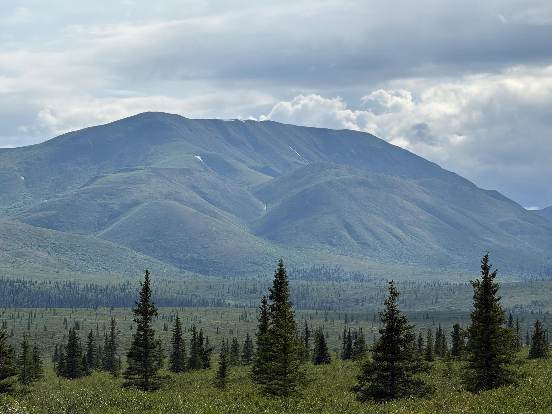 Denali National Park & Preserve, Alaska, US. Shot on iPhone 16 Pro.