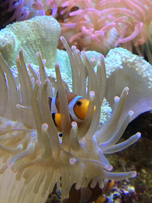 Atlanta, Georgia, US. Shot on iPhone 6s.