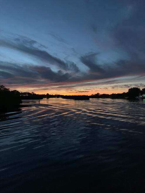 Tampa, Florida, US. Shot on iPhone XR.