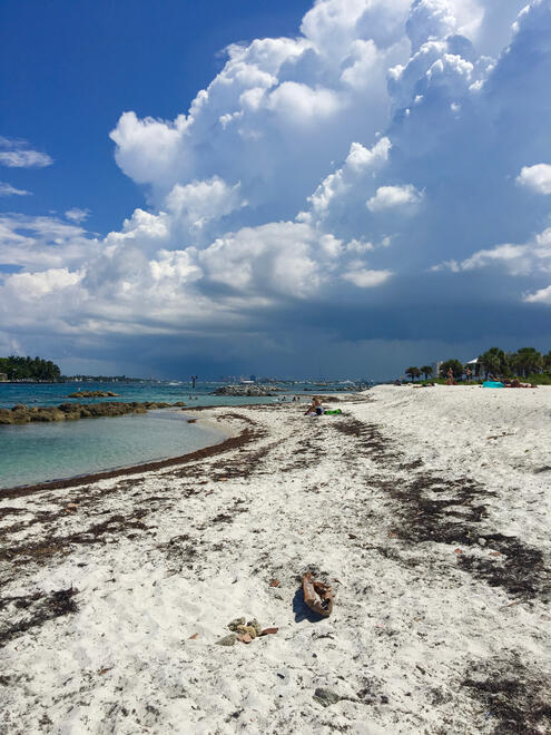 Peanut Island Park, Florida, US. Shot on iPhone 6s.