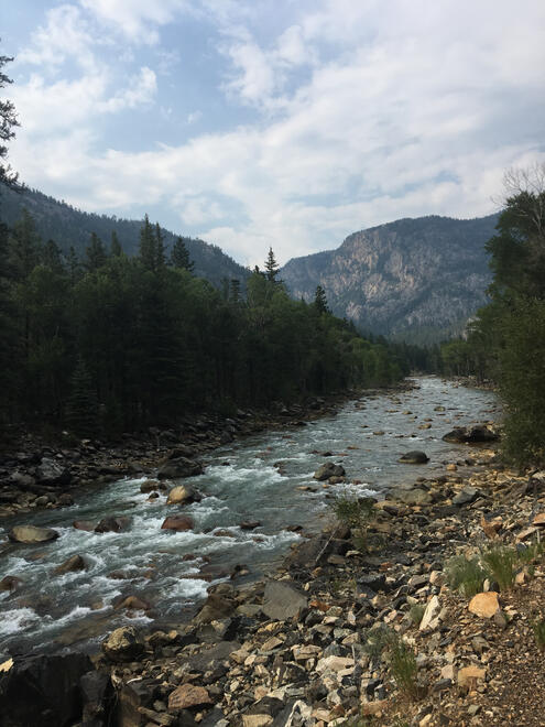 Along the Animas River, Colorado, US. Shot on iPhone 6s.