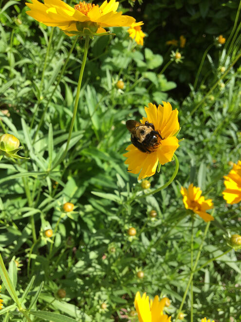 NC, US. Shot on iPhone 6s.