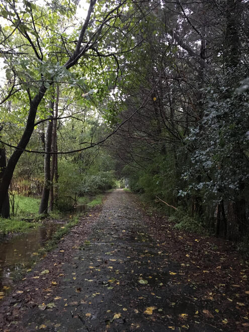 NC, US. Shot on iPhone 6s.